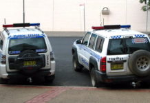 Mitsubishi Pajero и Nissan Patrol станут братьями