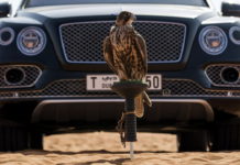 Причуды Bentley: насест для птиц и отделка из медуз