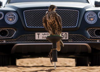 Причуды Bentley: насест для птиц и отделка из медуз