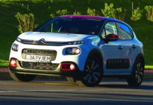 Citroёn С3: Цветок кактуса