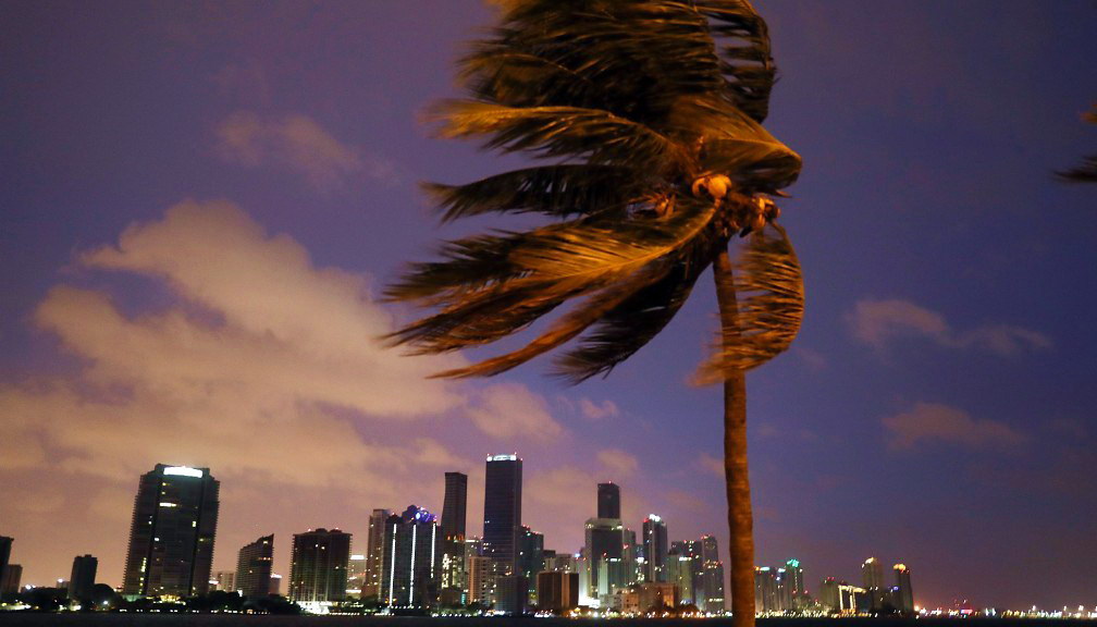 Tesla Irma