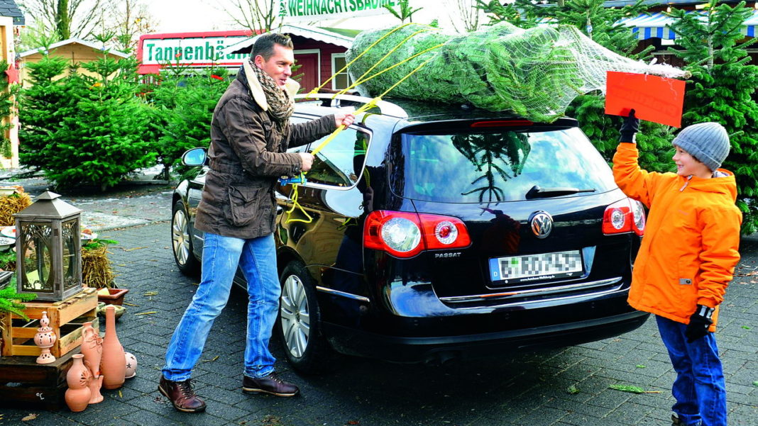 01 Elka zr12-11