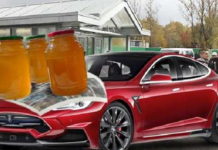 Знаменитый пасечник продаёт свою Теслу