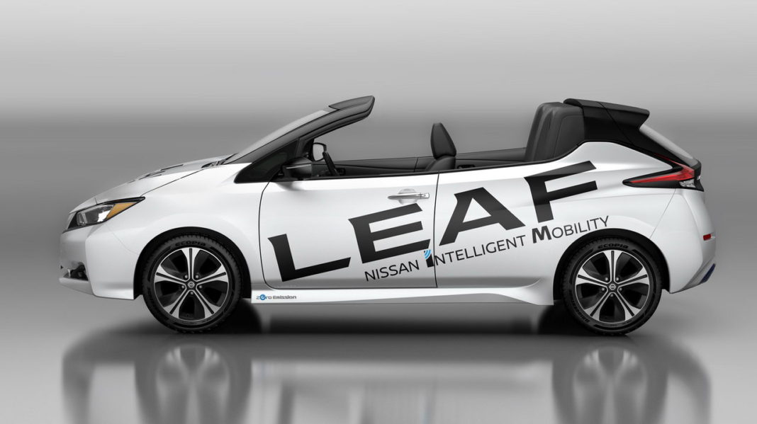 Nissan Leaf Open Car 1