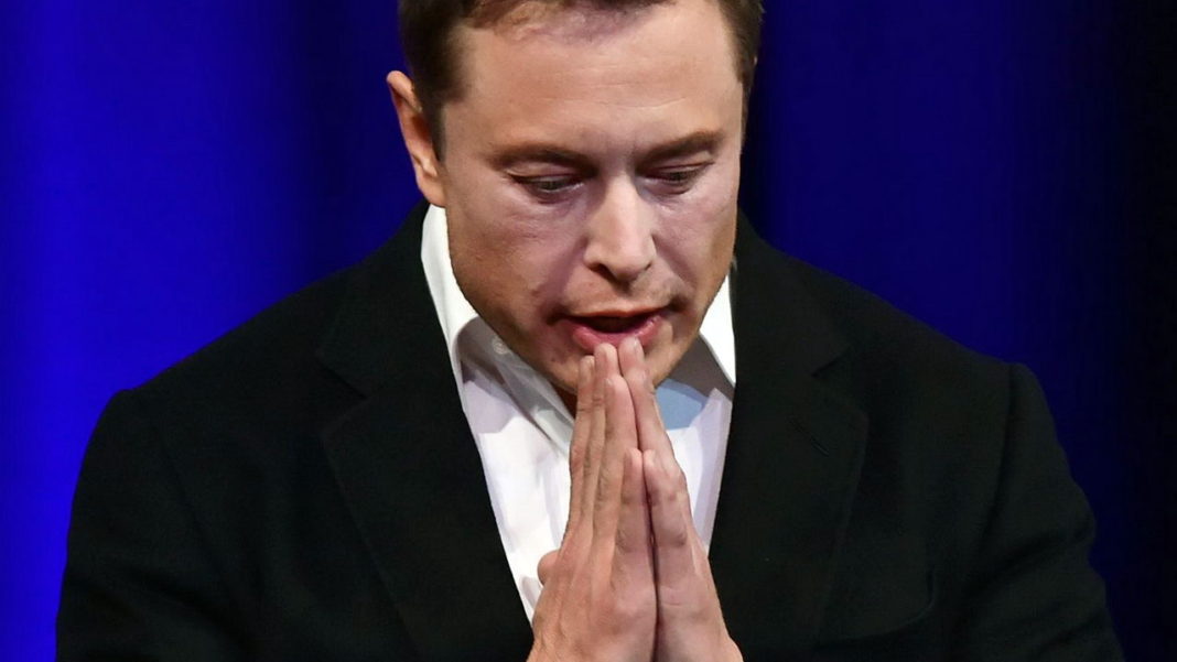elon musk