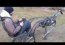 Назад в будущее: роболошадь из Китая