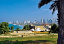 3700 грн – штраф за кофе. Каково за рулем в Израиле? Israel