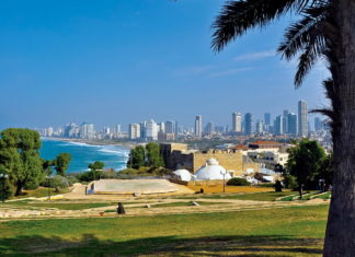 3700 грн – штраф за кофе. Каково за рулем в Израиле? Israel