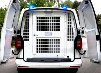 Маршрутка в тюрьму: Volkswagen выпустил серийный автозак Volkswagen Transporter