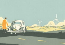 VW Beetles