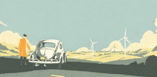 VW Beetles