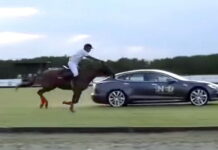 Tesla Model S сразился с лошадью. Думаете, обогнал? Tesla Model S vs Horse