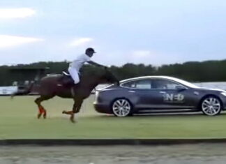 Tesla Model S сразился с лошадью. Думаете, обогнал? Tesla Model S vs Horse