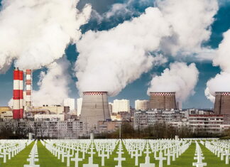 Запрет ДВС: правда или миф? Рассказываем, чем это может закончиться Ecology