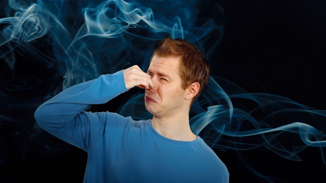 Smell Smell