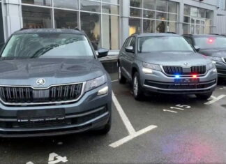 Skoda police