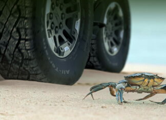 Как краб: смотрите, в каком удивительном режиме ездит возрожденный Hummer Hummer CrabWalk