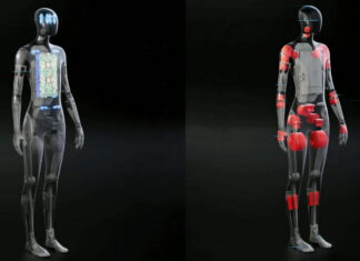 Tesla bot