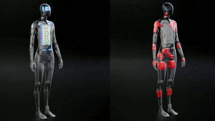 Tesla bot
