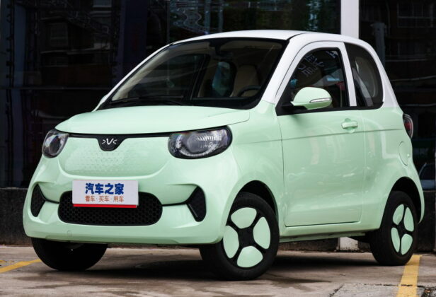 Hongrui Xiaohu Tiger