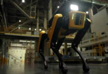 RoboDog Hyundai