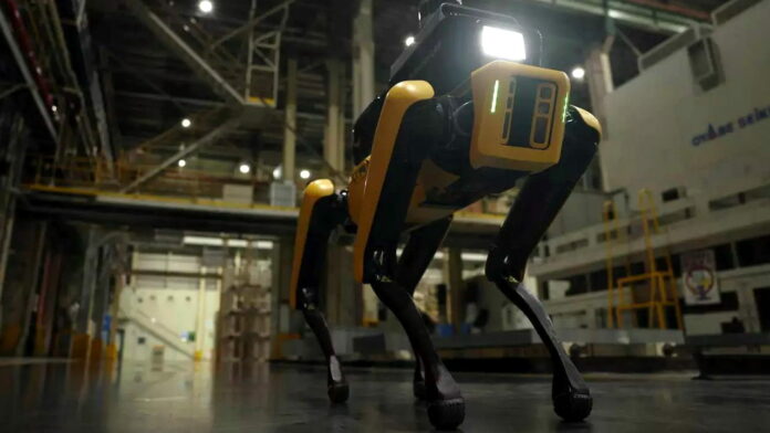 RoboDog Hyundai