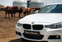 Главное – не дышать: BMW осваивает новый вид топлива BMW-plant-manure