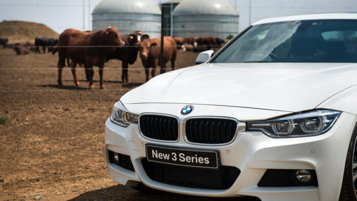 BMW-plant-manure BMW-plant-manure