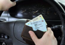 В Украине начали выдавать обновленные права: что изменилось prava