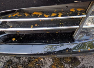 tesla-adds-another-chronic-defect