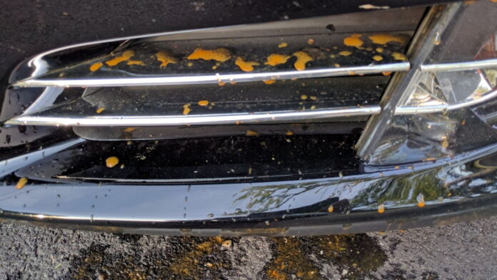 tesla-adds-another-chronic-defect-to-its-list-rusted-reinforcement-bars_3 tesla-adds-another-chronic-defect