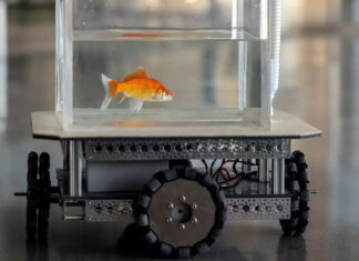 Умеют ли рыбки управлять автомобилем? Да, если они – золотые Fish Car