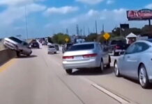 Загадка для кмітливих: що трапилося з дикою Honda