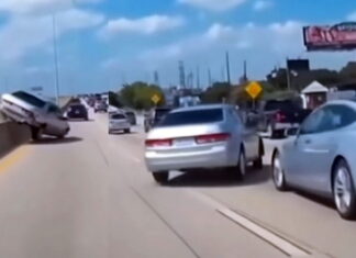 Загадка для кмітливих: що трапилося з дикою Honda