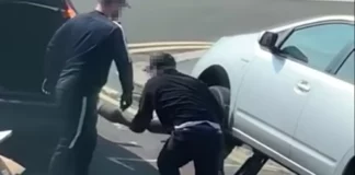 toyota thief cat