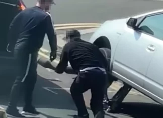 toyota thief cat