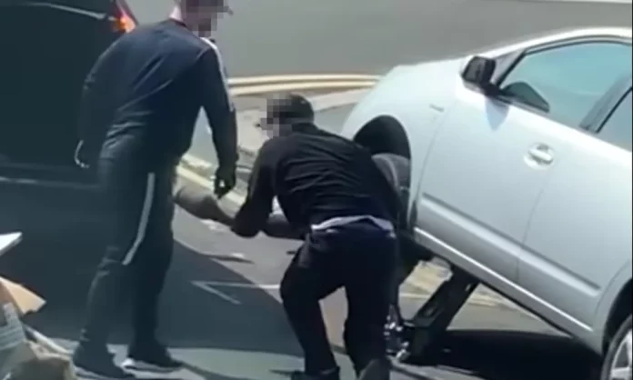 toyota thief cat toyota thief cat