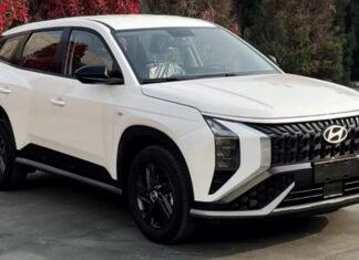 Hyundai Mufasa