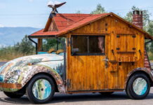 Beetle Holzhaus