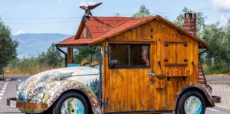 Beetle Holzhaus