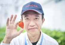Як садівництво допомагає Toyota випускати автомобілі toyota-grows-strawberries