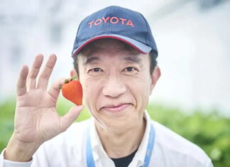 Як садівництво допомагає Toyota випускати автомобілі toyota-grows-strawberries
