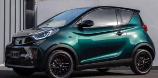 Chery-Little-Ant