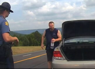 Drunk car driver