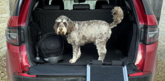 Car Luggage