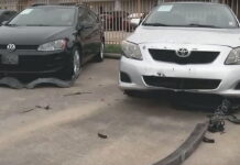Dogs vs Cars