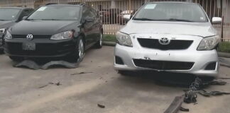 Dogs vs Cars