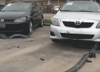 Злочинці погризли автомобілі на 350 тисяч доларів (відео) Dogs vs Cars