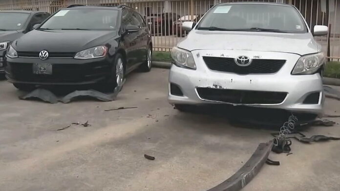 Dogs vs Cars 1 Dogs vs Cars
