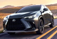 Позашляховик Lexus NX оновився та отримав нові ціни 2025 Lexus NX